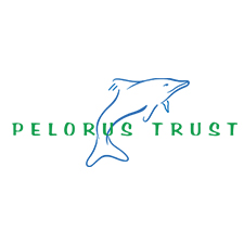 Pelorus trust Sponsor